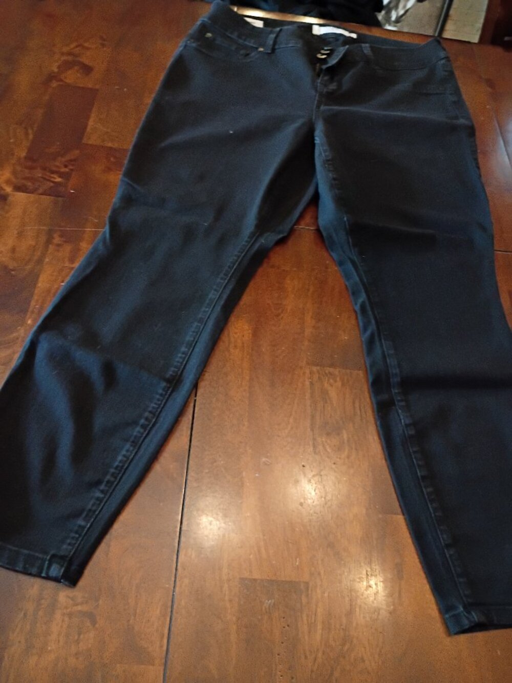 Torrid Jegging Demin Pants